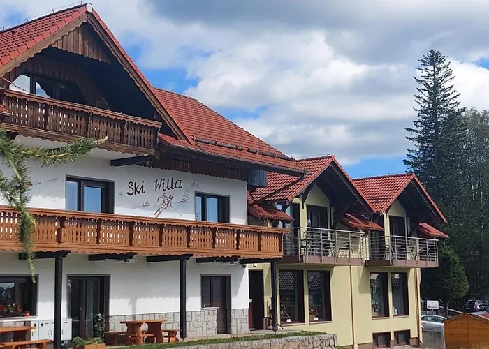 Ski Willa Apartament *